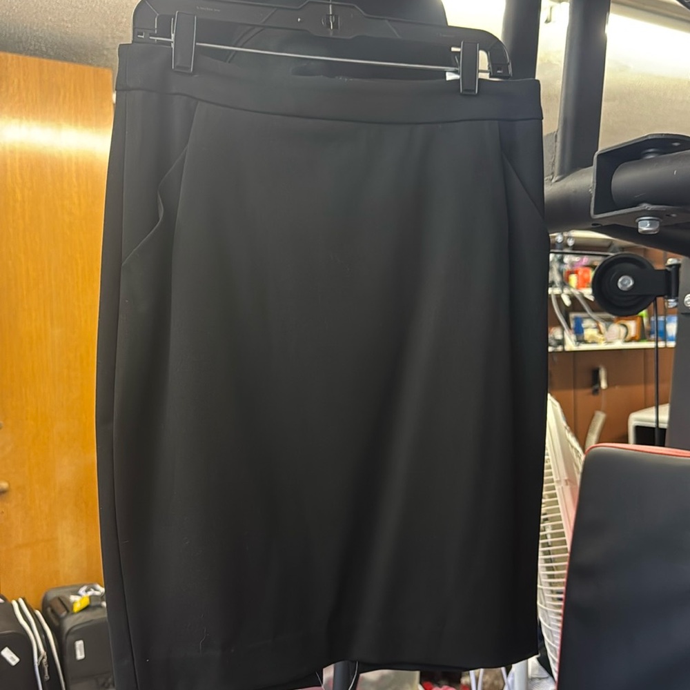 Express Pencil Skirt